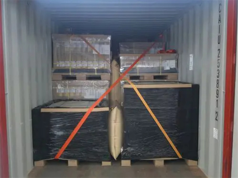 lashing strap for container